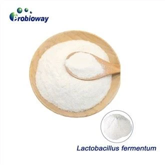 Lactobacillus Fermentum duft