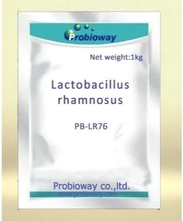 Lactobacillus Rhamnosus 500B
