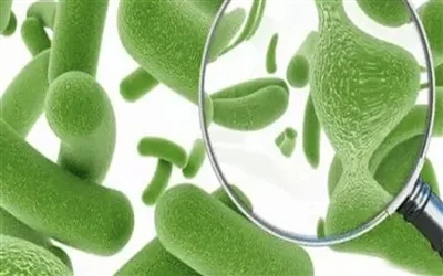 Hafa probiotics aukaverkanir?