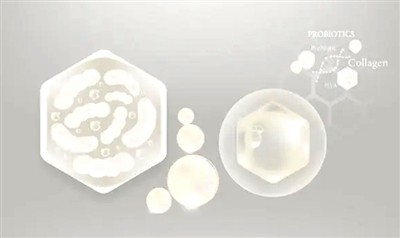 Áhrif og ávinningur af frostþurrkuðum Bifidobacterium Lactis