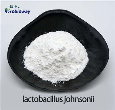 Lactobacillus Johnsonii leiðir nýja stefnuna með nýjum vörum til að hjálpa þé...