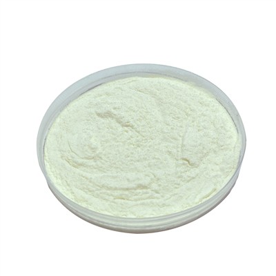 Hvað gerir Lactobacillus Paracasei?