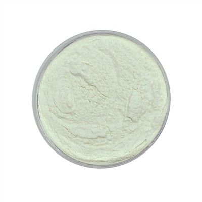 Til hvers eru Bacillus Coagulans góðir?