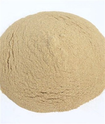 Hverjir eru ókostir Bacillus Subtilis?