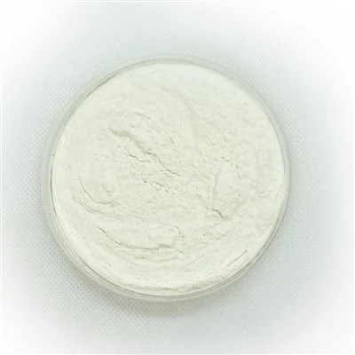 Bifidobacterium Bifidum